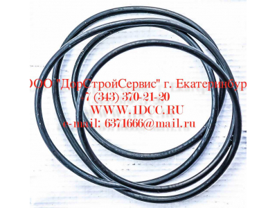 Кольцо уплотнительное ø338х3.55 гидромуфты ГТР CDM 833 Lonking CDM (СДМ) ø338х3.55 фото 1 Чебоксары