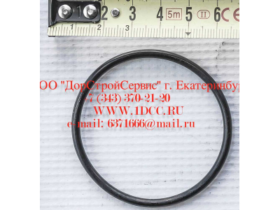 Кольцо уплотнительное ø346х3.5 гидромуфты ГТР CDM 855, 843 Lonking CDM (СДМ) 402236 фото 1 Чебоксары