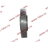 Шестерня привода распредвала промежуточная WD615/WP10 HOWO (ХОВО) VG1560050053/61560050053 фото 3 Чебоксары